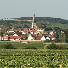 Crémant de Bourgogne: признание, которое созрело