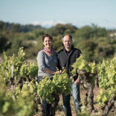 Domaine Anne Gros: от Бургундии до Лангедока