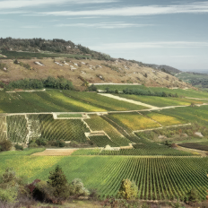 Hautes Côtes: новая винная высота Бургундии