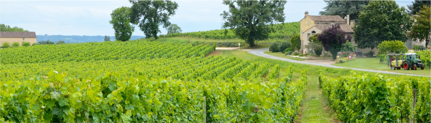 Domaine Coquard Loison-Fleurot | burgundy.ru