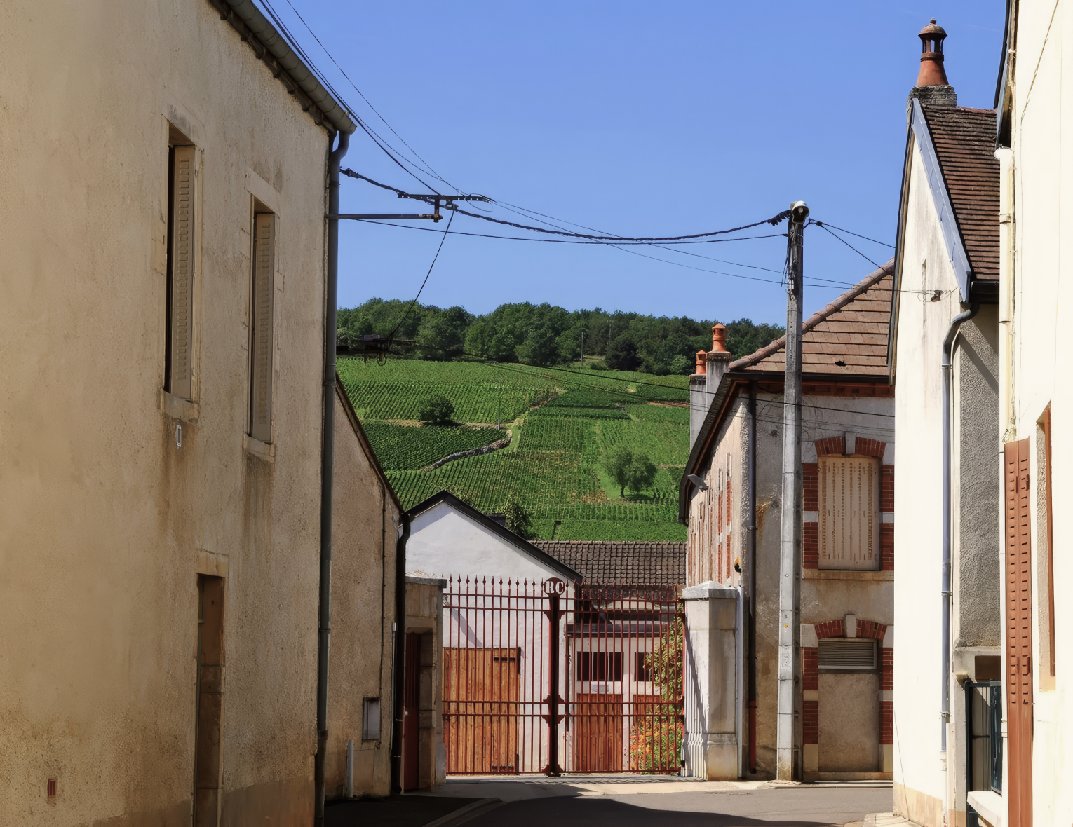 Винный клуб. Винный клуб «Hautes-Côtes de Bourgogne» | 24.07.25 | Москва